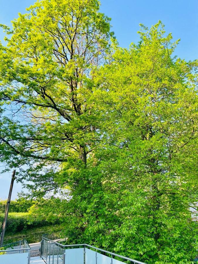 Ferienwohnung Waldblick Kaufungen Zewnętrze zdjęcie